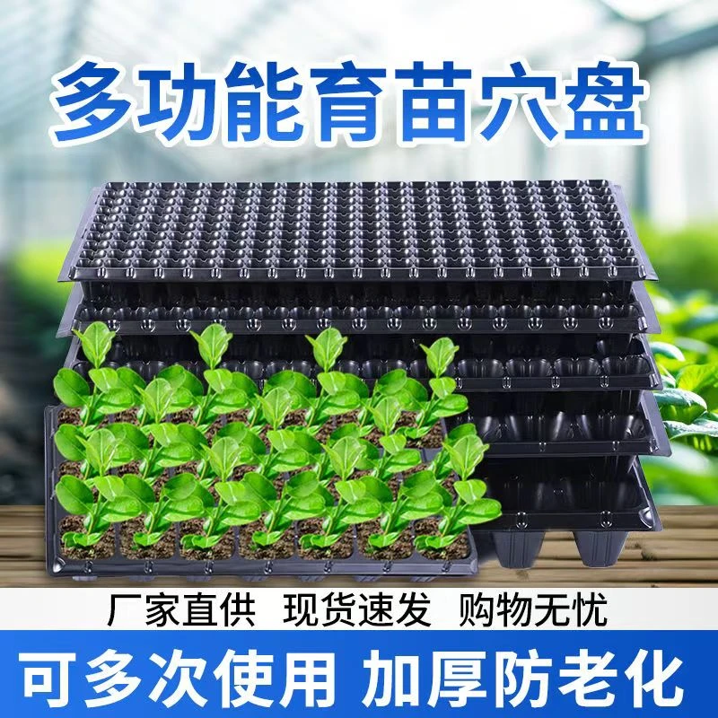 草莓盘育苗盘穴盘育苗盆育秧盘辣椒种植盘育苗超厚玉米高粱加厚
