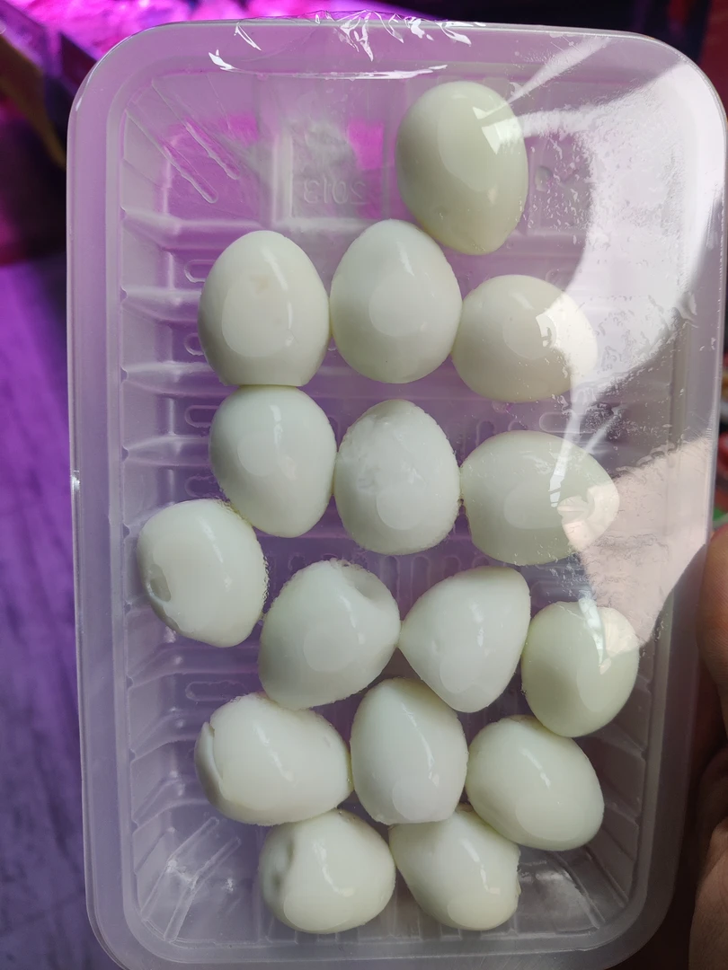 【五泉优选】火锅食材鹌鹑蛋170~180g