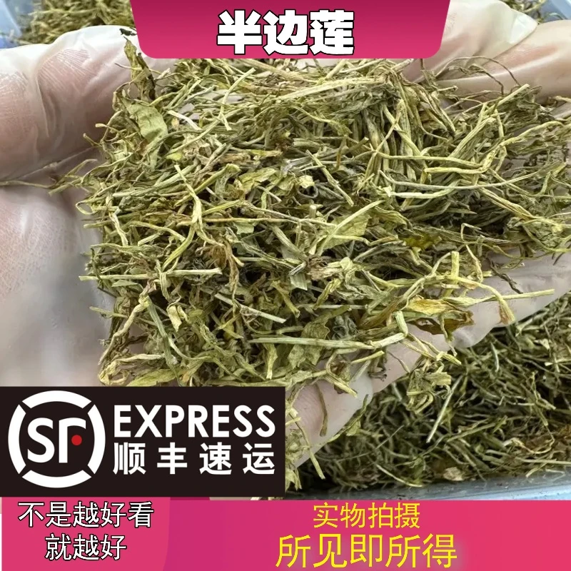 半边莲成都中药材批发别名：蛇利草、细米草、蛇舌草、鱼尾