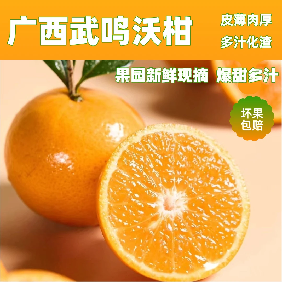 正宗广西武鸣沃柑当季水果新鲜现摘坏果包赔