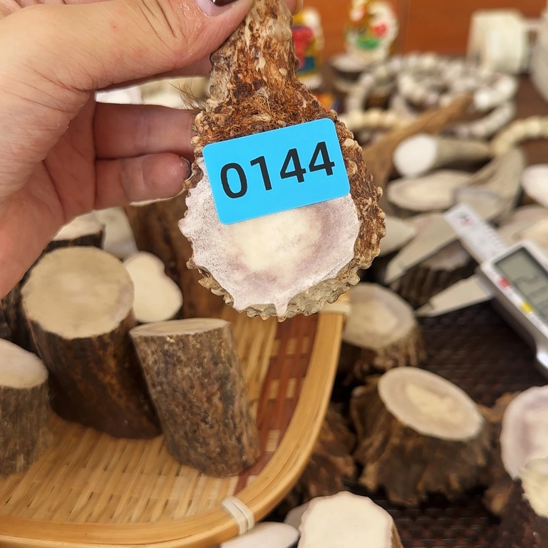 手串/手链鹿骨0144帽