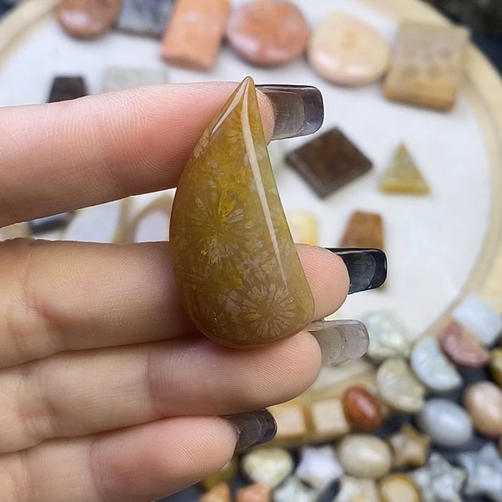 硅化玉未镶嵌颈饰43