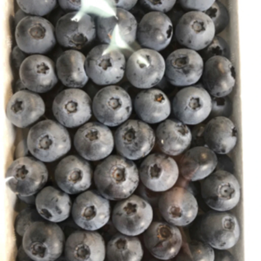云南蓝莓L25蓝莓（400克20mm)云南蓝莓云南省东方市