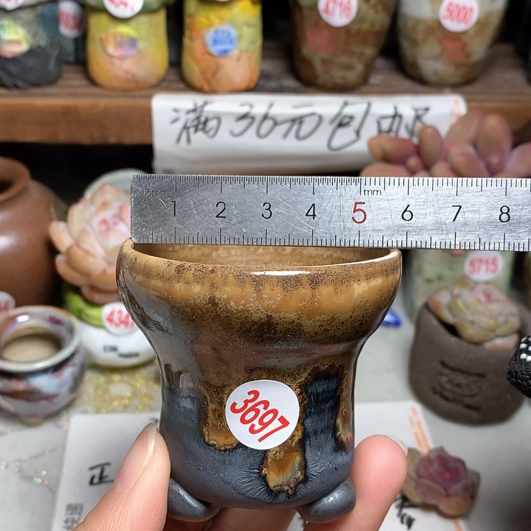 红陶拍5送一个小