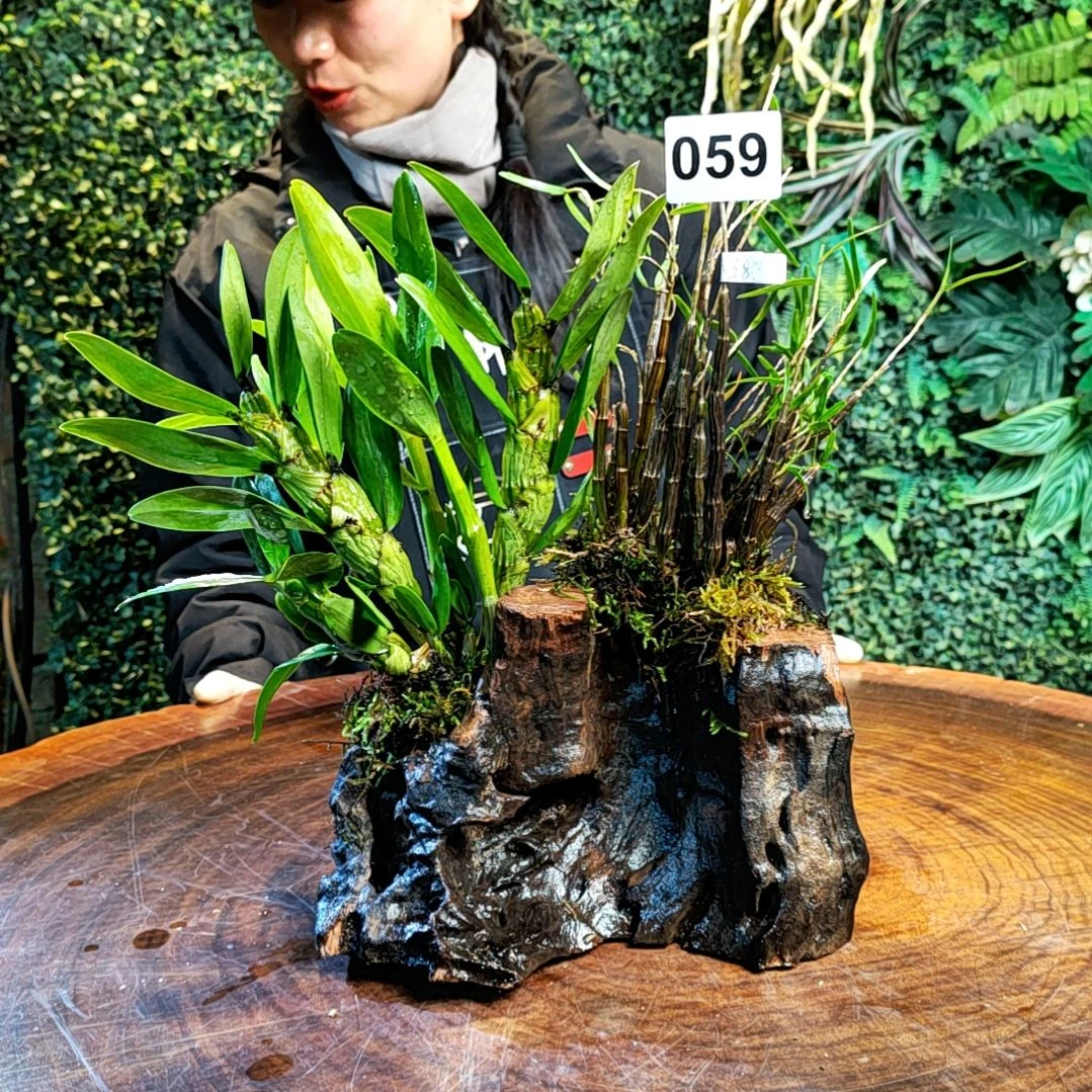 【闪购商品】彭*琪059金钗，姬竹叶花卉