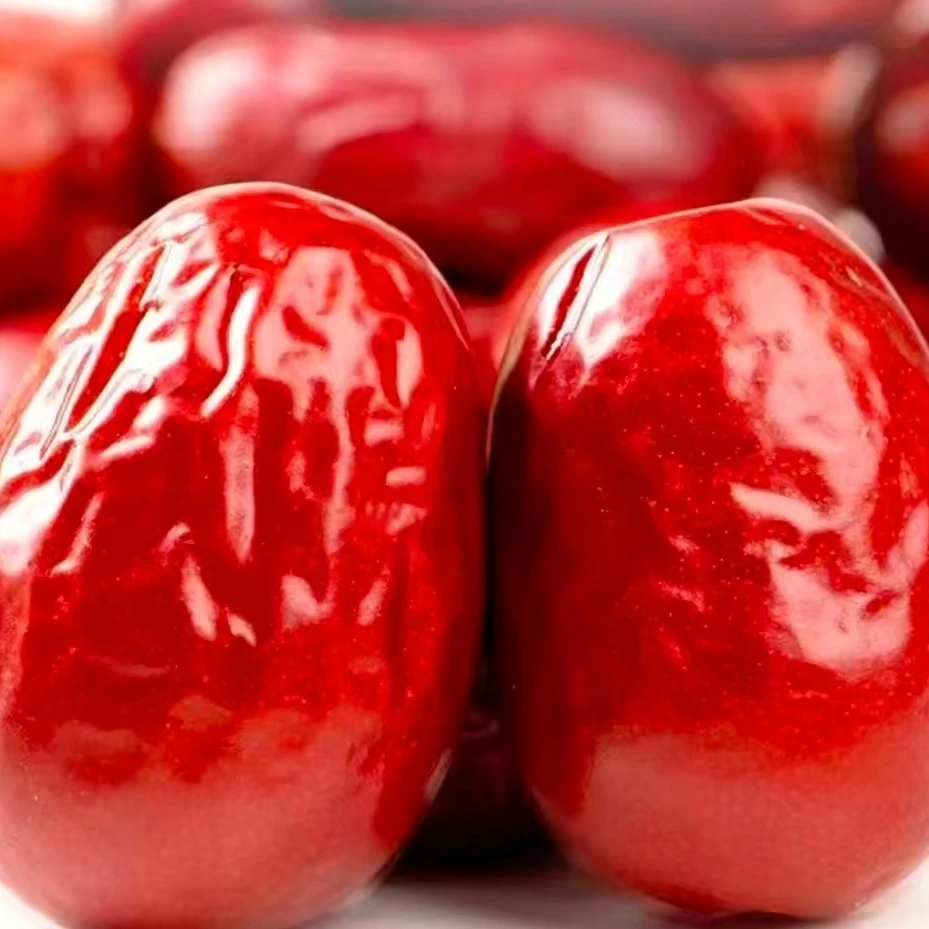 正宗壶瓶枣大果新鲜采摘甜枣孕妇水果枣子特产