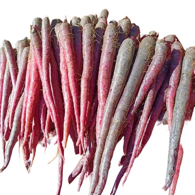 云南山货 紫玉萝卜 卤蛋甄选