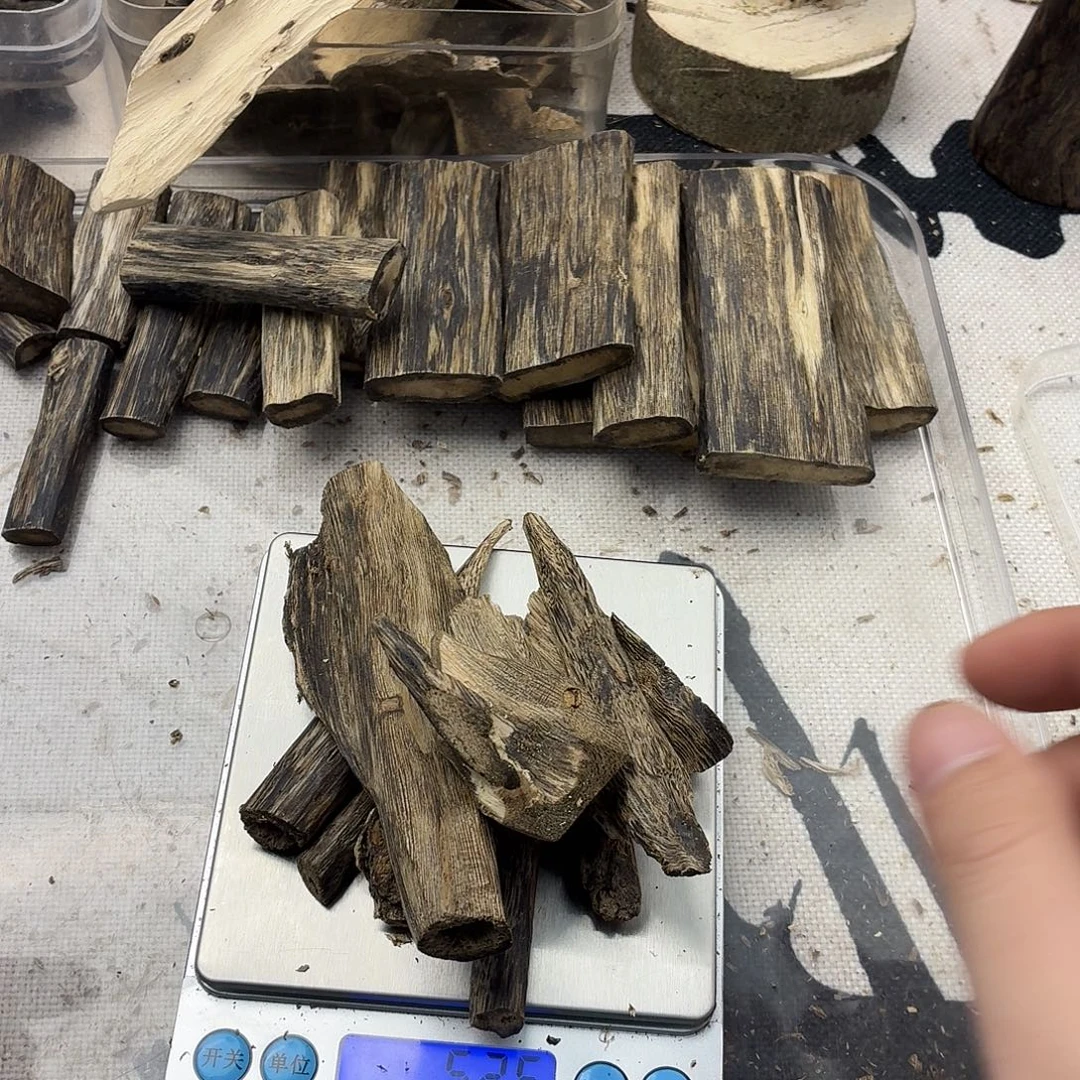 虫漏树丁52克包邮到家