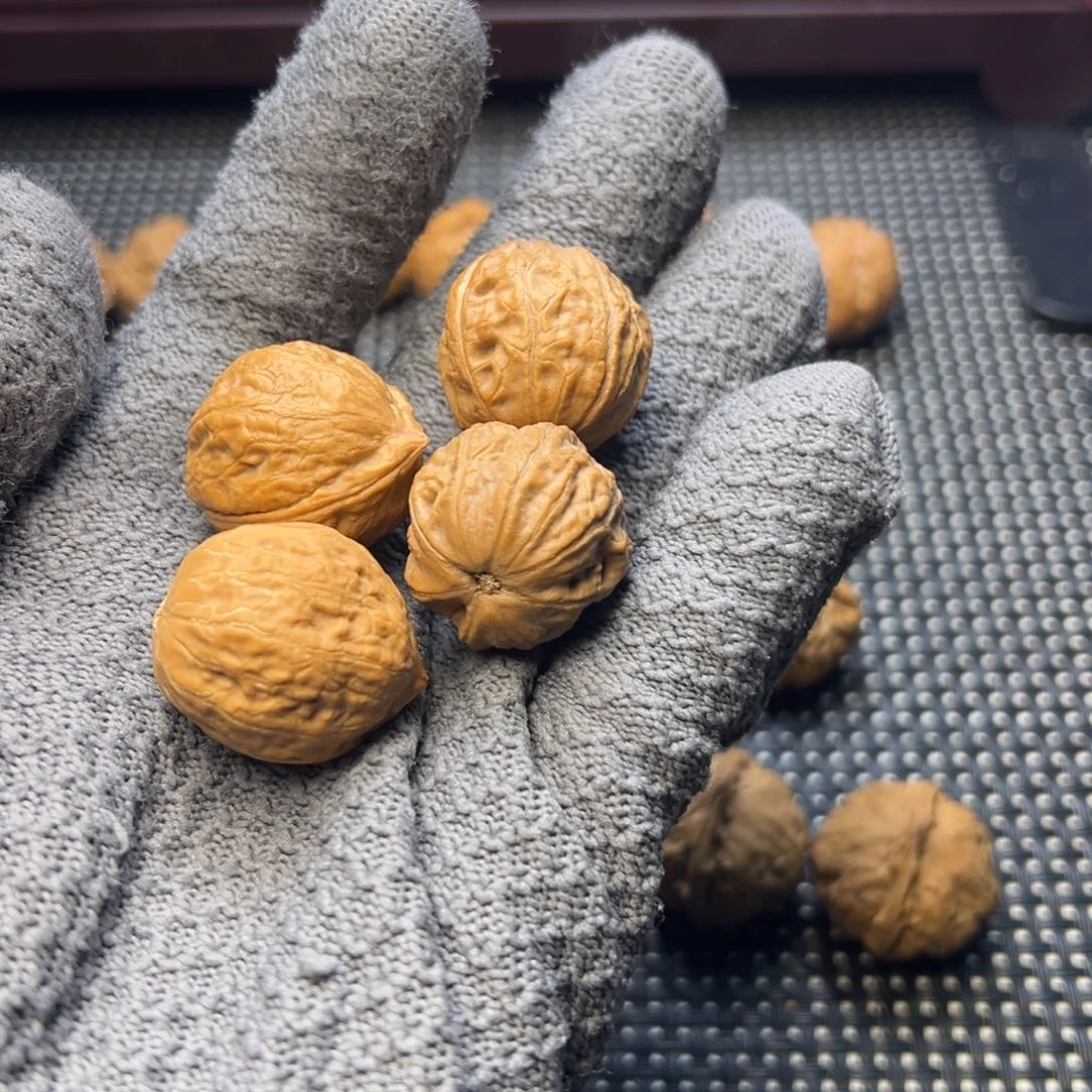 c***z文玩核桃把件小胖蛙加小金豆