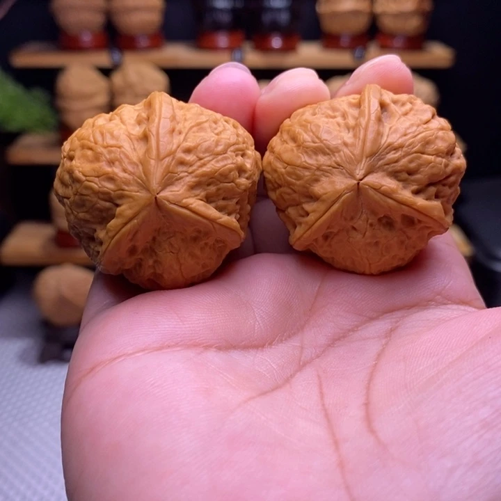 木质类云铁寿桃三棱21号