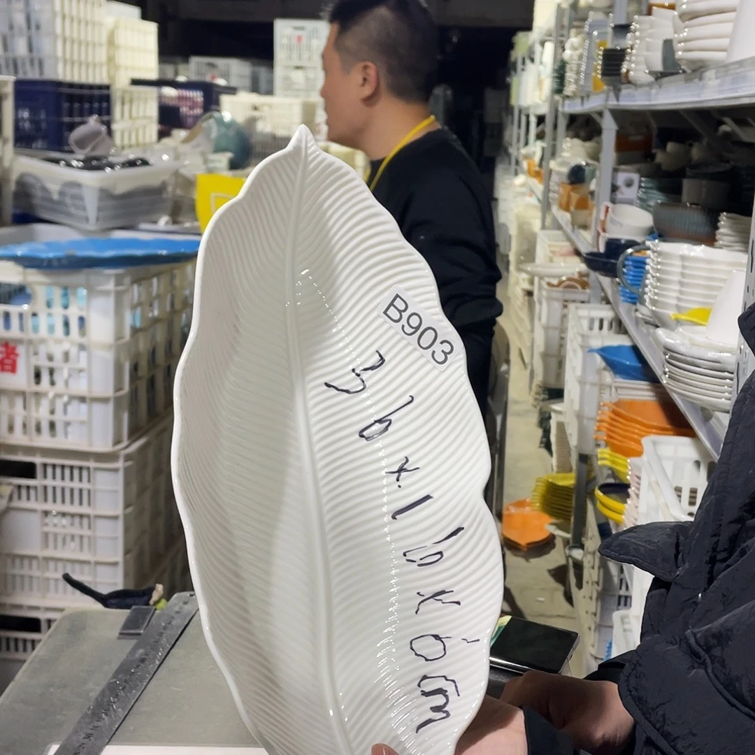 瓷片903             1个