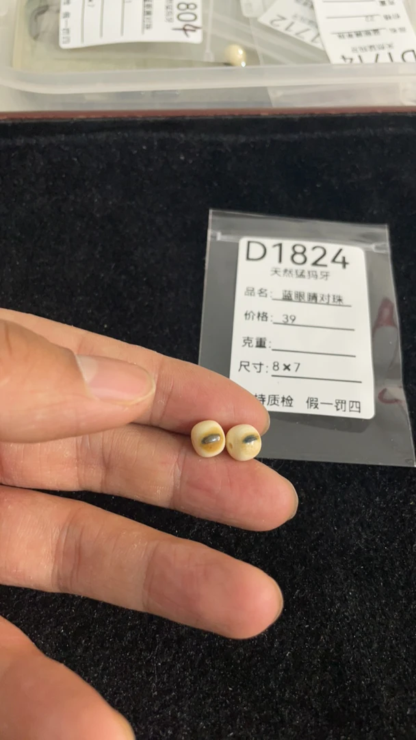 D1824天然猛犸牙蓝眼睛对珠
