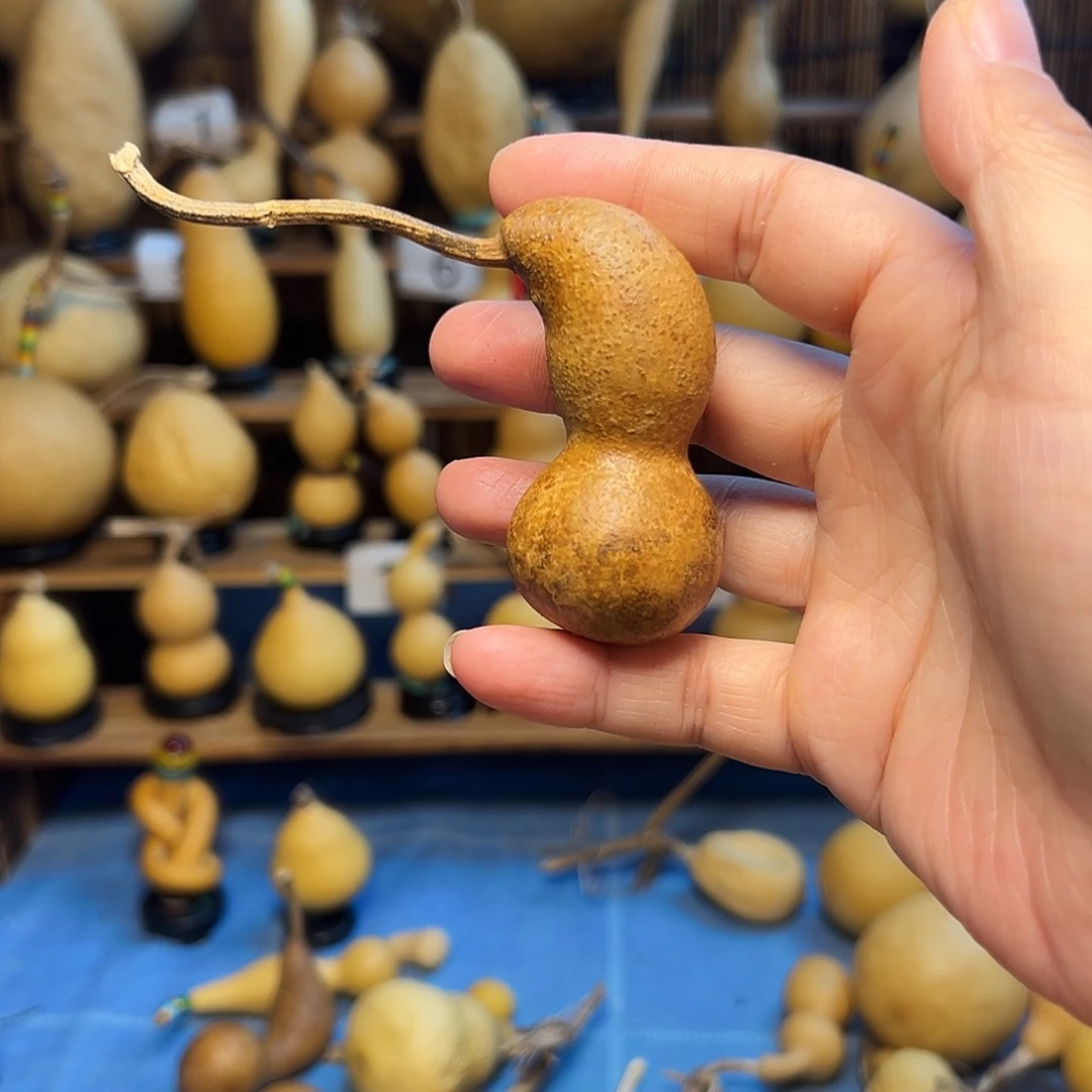 前***3花皮鹰嘴本捻15米包邮