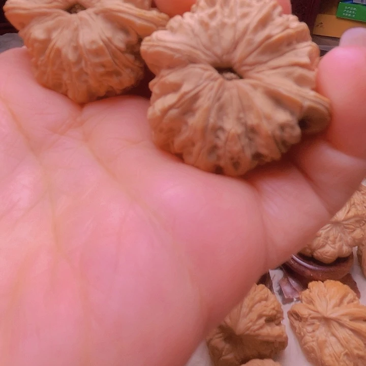 星****）核桃核桃核桃核桃核桃