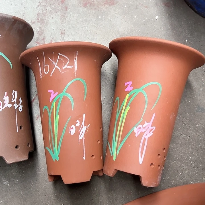 紫砂紫砂紫砂紫砂紫砂