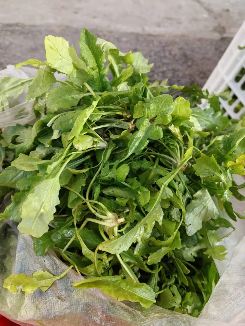 【荠菜】农家自种新鲜现摘
