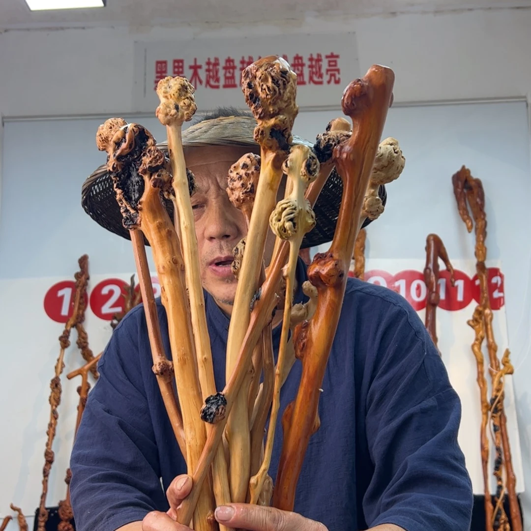 黑果木其他黑果木624