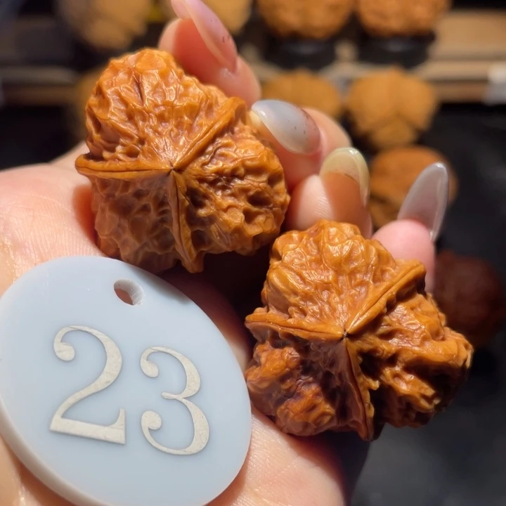 三棱33尺寸核桃。
