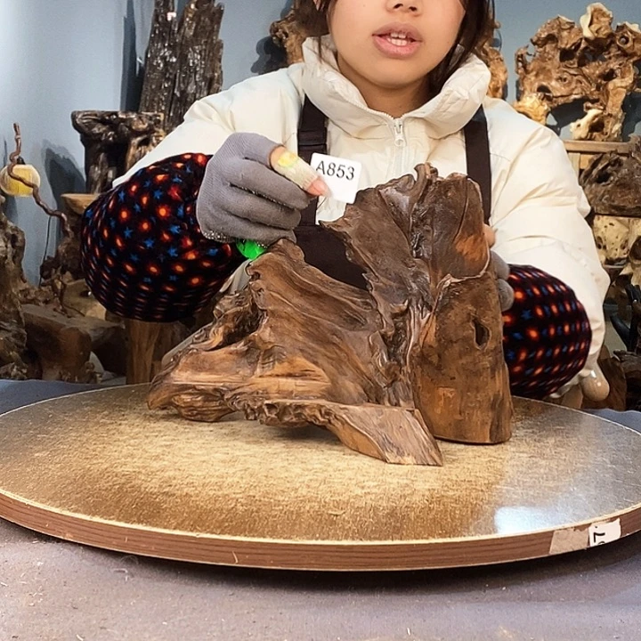 茶盏j****o853。株木随行根艺