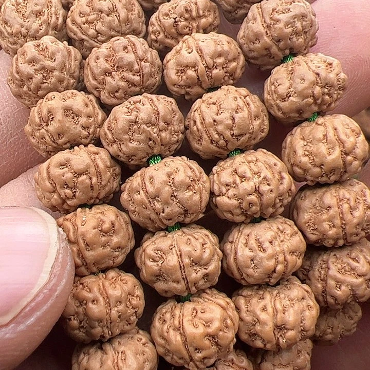 金刚菩提手串传*树王