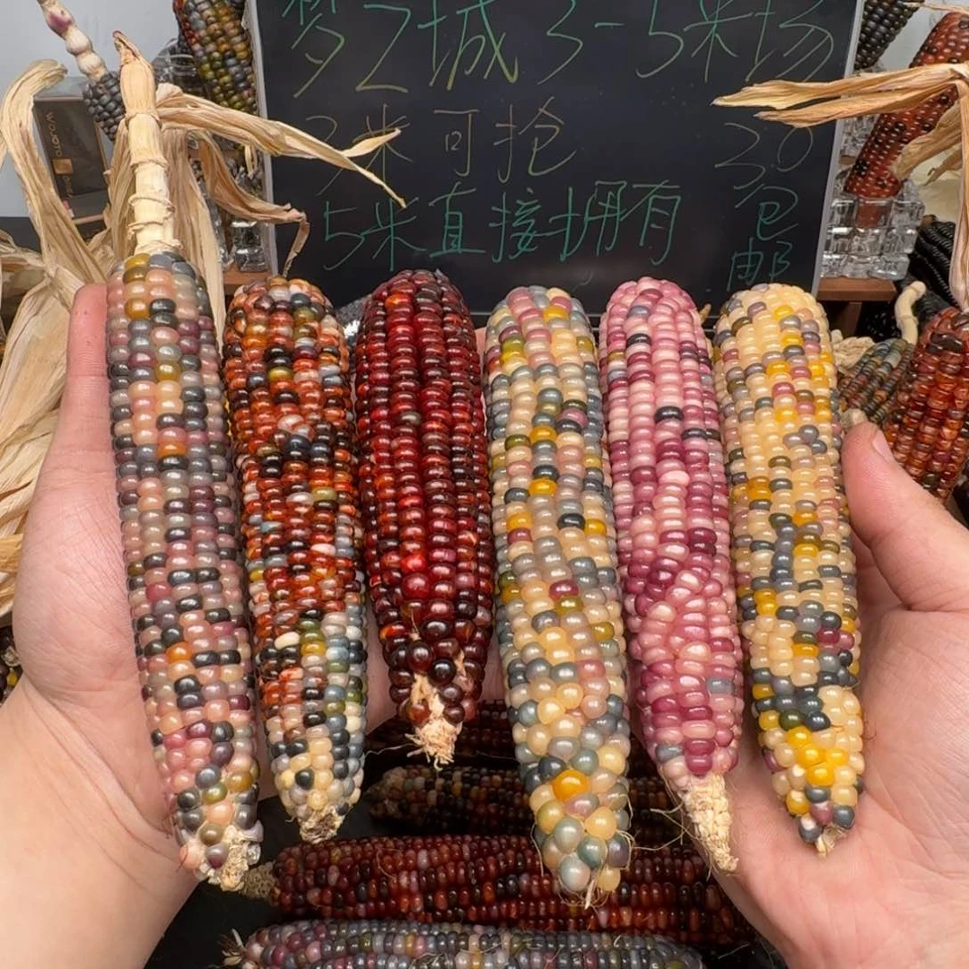 柏香籽/百香籽吊坠呀****呀