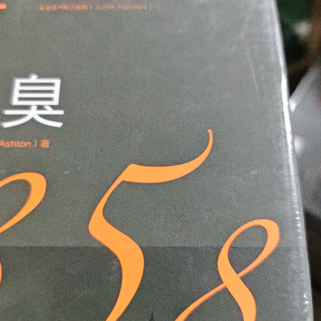 精装塑封 大恶臭