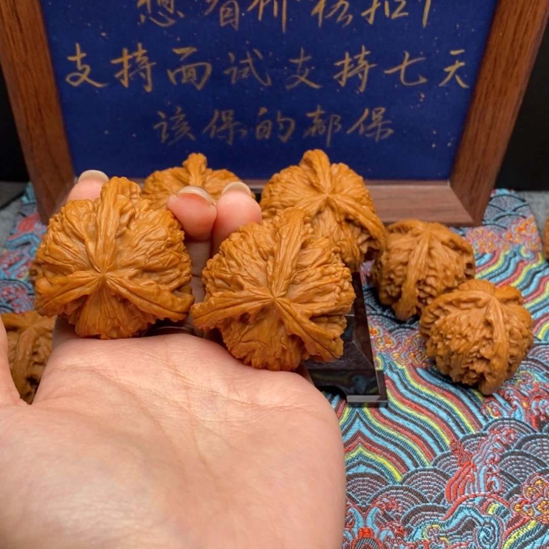 【闪购商品】三白狮