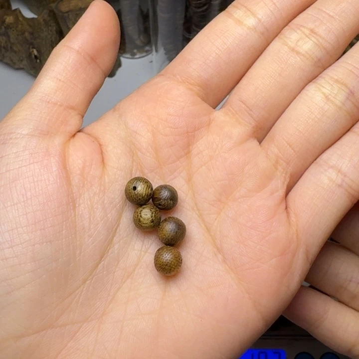 紫***晶楠木奇楠天然珠子