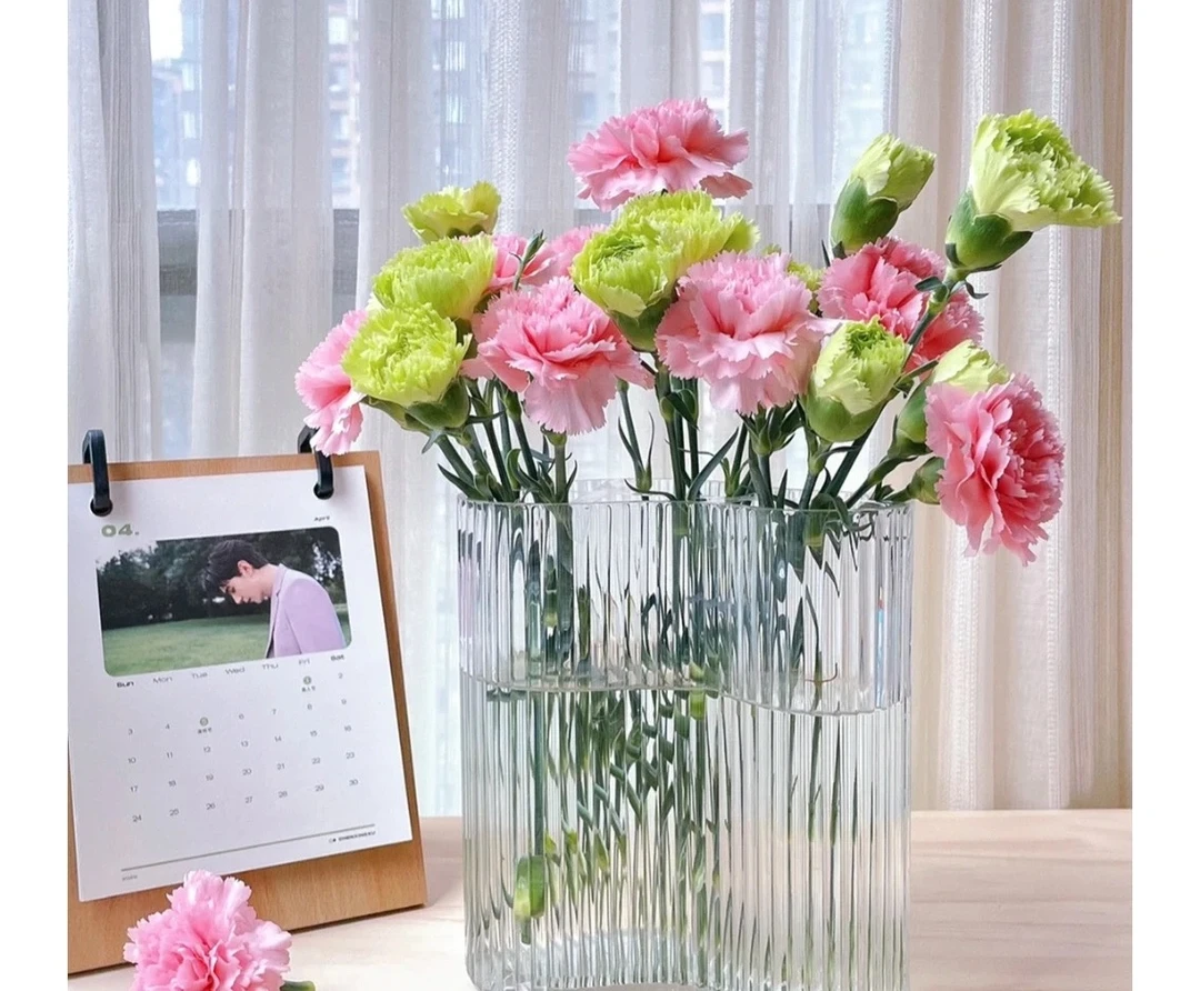 粉色单头康乃馨10支+绿色单头康乃馨10支