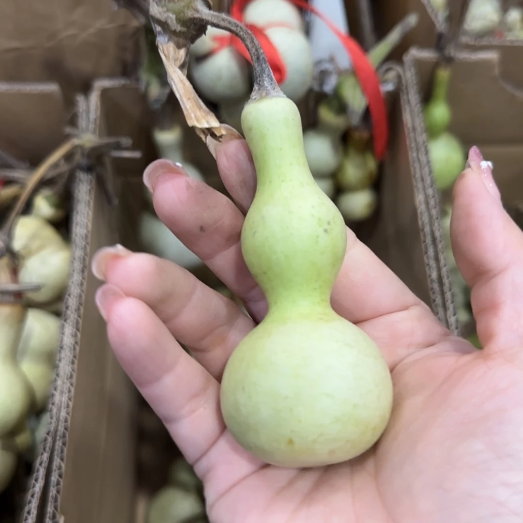 狼****葫芦该喝喝GHHJJ就好