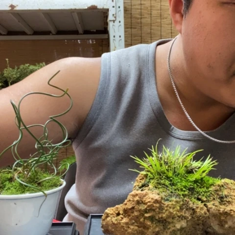 红陶丶****饮一物一拍所见即所得83