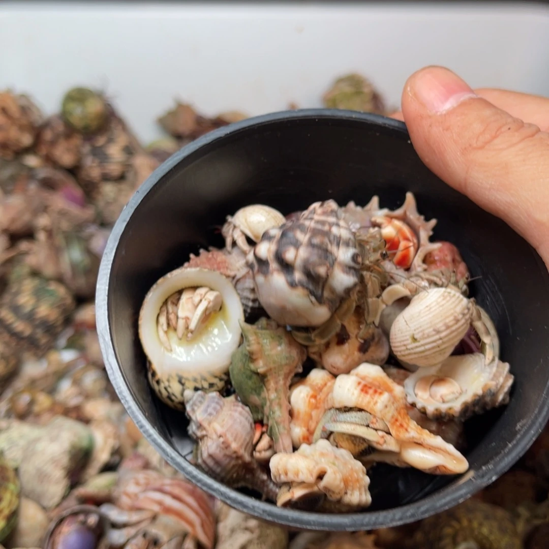 哎***哩那么也会导致我更难过呢