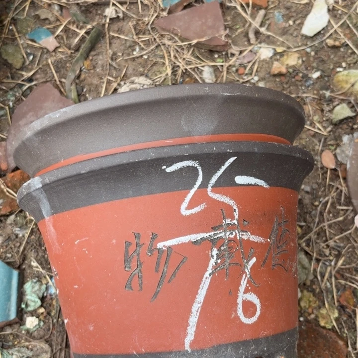 花盆紫砂紫砂的颜色