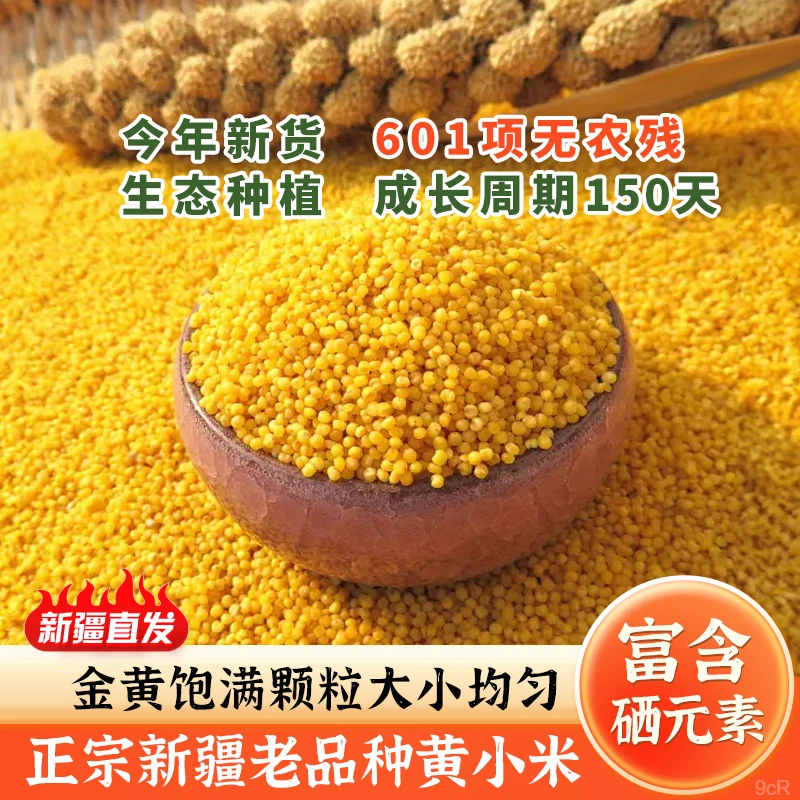 【新疆现磨新米】沙漠黄小米粘糯香醇带胚芽营养丰富产地直发2/5斤