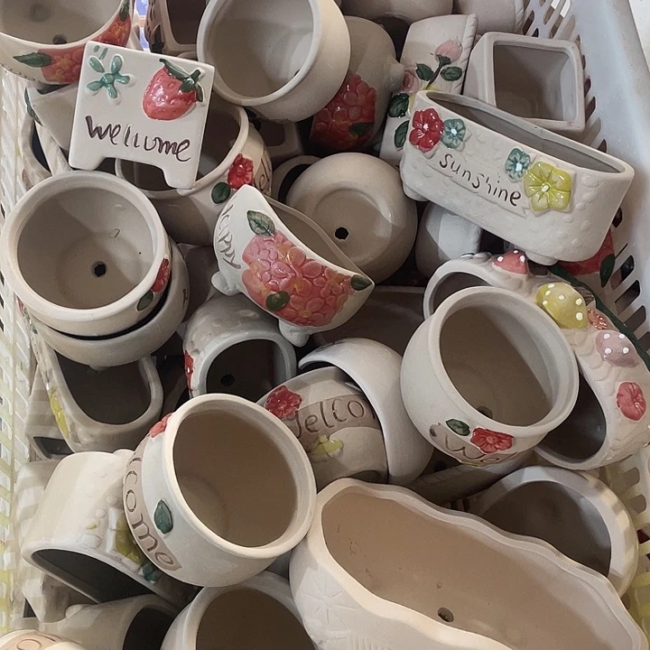 不退不换不包运6个65665566866665