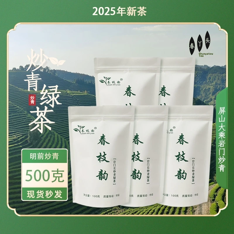 宜宾屏山大乘岩门炒青2025新茶特级500克（100g*5） 明前春茶口粮型