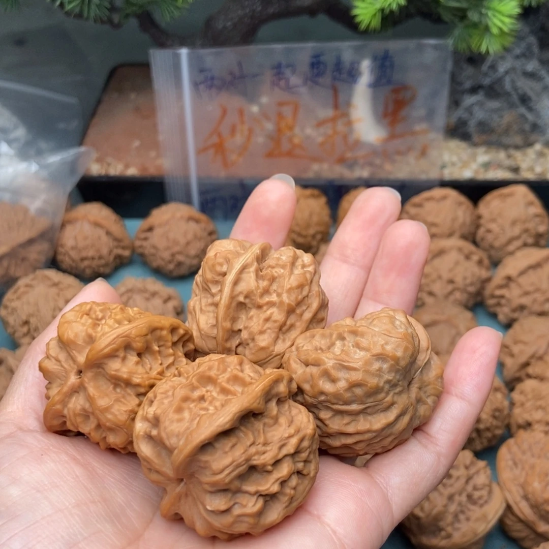 吐***哥文玩核桃把件野狼一帆31