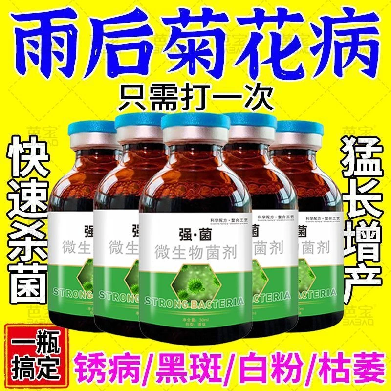 菊花专用杀菌剂菊花病全治菊花万寿菊白粉病褐斑病黄叶枯萎病疫病