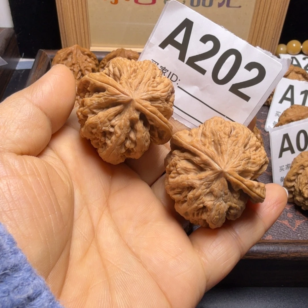把件文玩核桃42尺大粗筋A202
