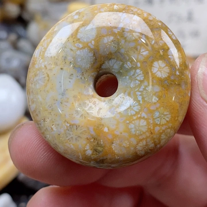 颈饰未镶嵌硅化珊瑚（珊瑚玉）