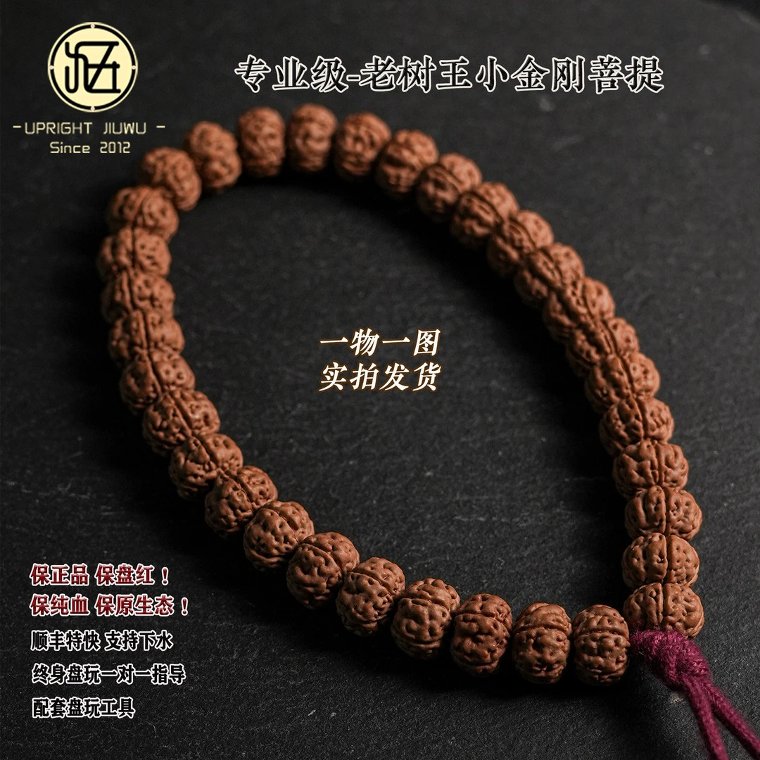 专业级纯血老树王小金刚菩提手串文玩手串男款小金刚手串