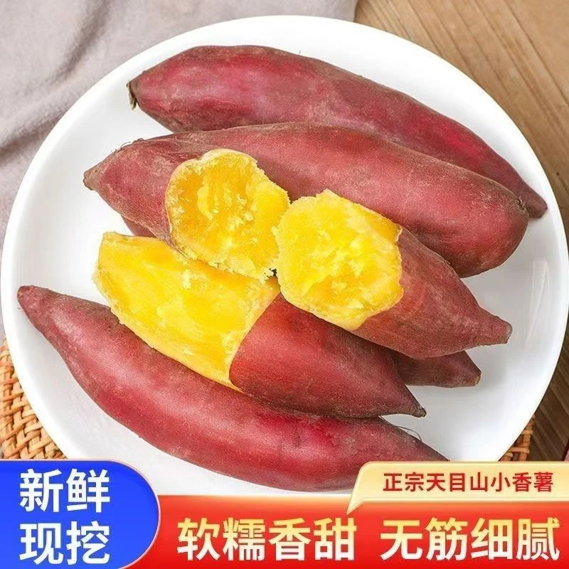 天目山小香薯红薯新鲜挖黄心粉甜沙地板栗地瓜