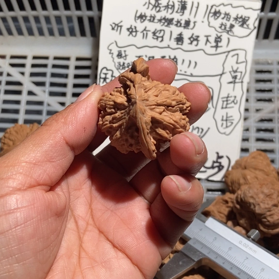 为***飞核桃犀牛角42尺寸全品