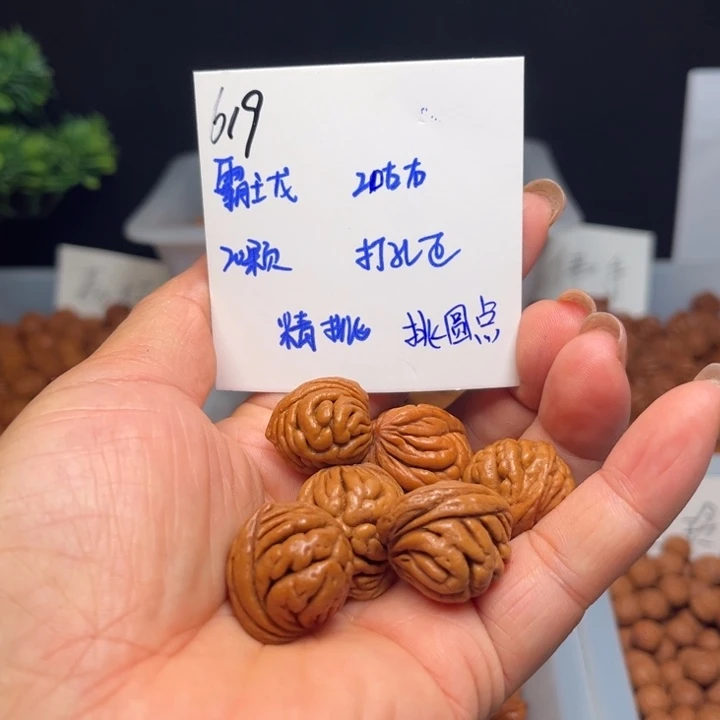 帅***锅手串桃核霸王龙20左右20颗