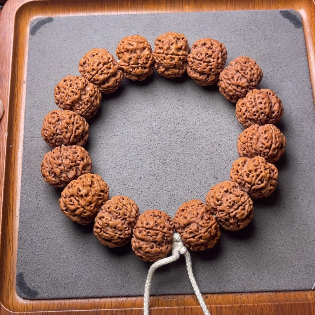 菩提17号金刚菩提梅花蜂窝豆腐块24