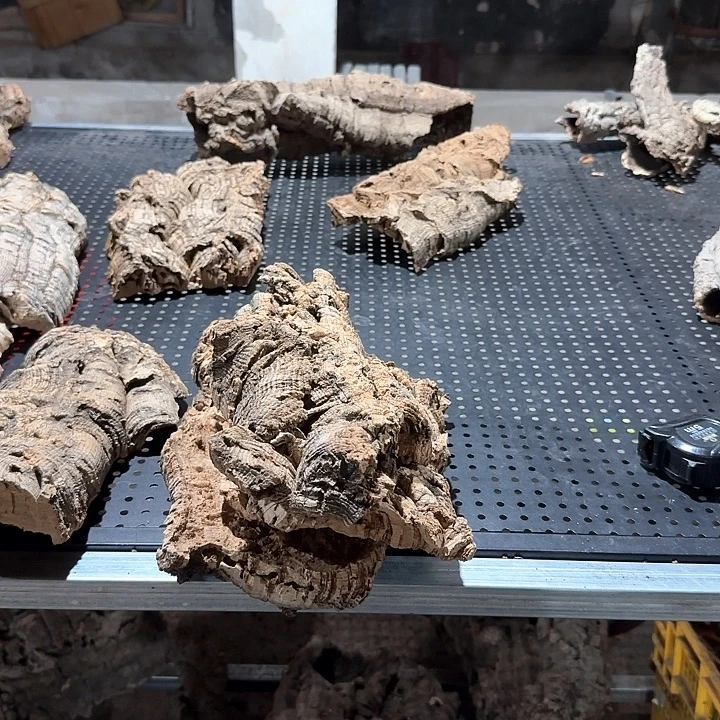 O***白完全开放一物一一发一物一拍