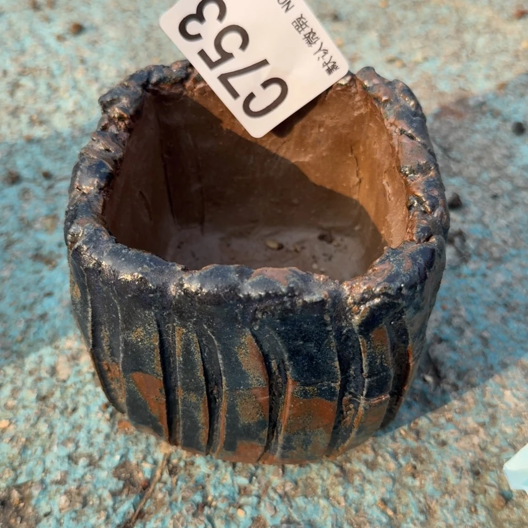 重庆小燕子欢迎大家753