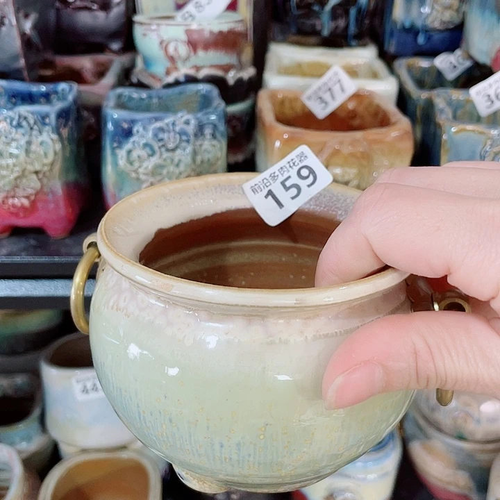 狼盆内口径8高度8