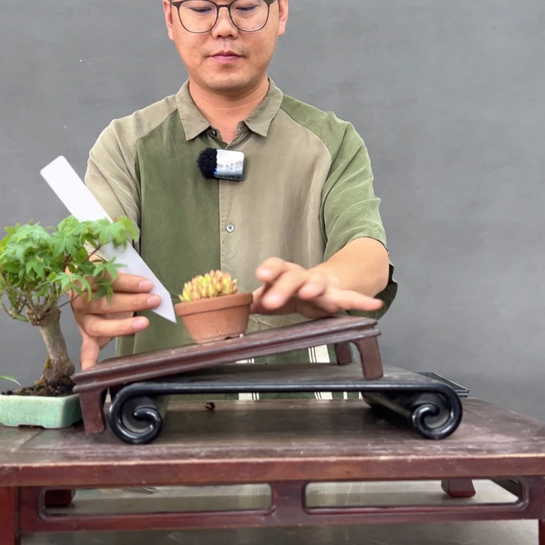 阿*13顺丰到付。