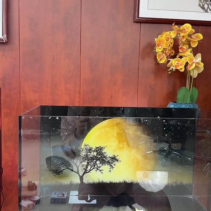 60月亮彩背编号30号